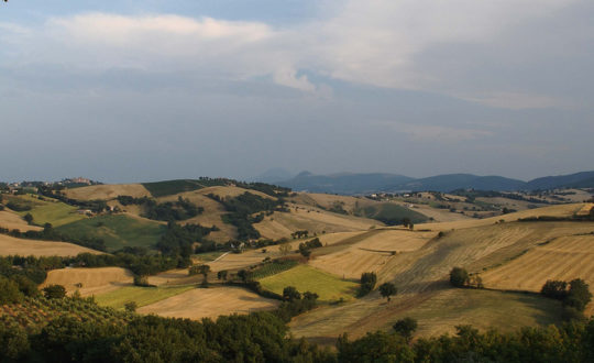 Le Marche