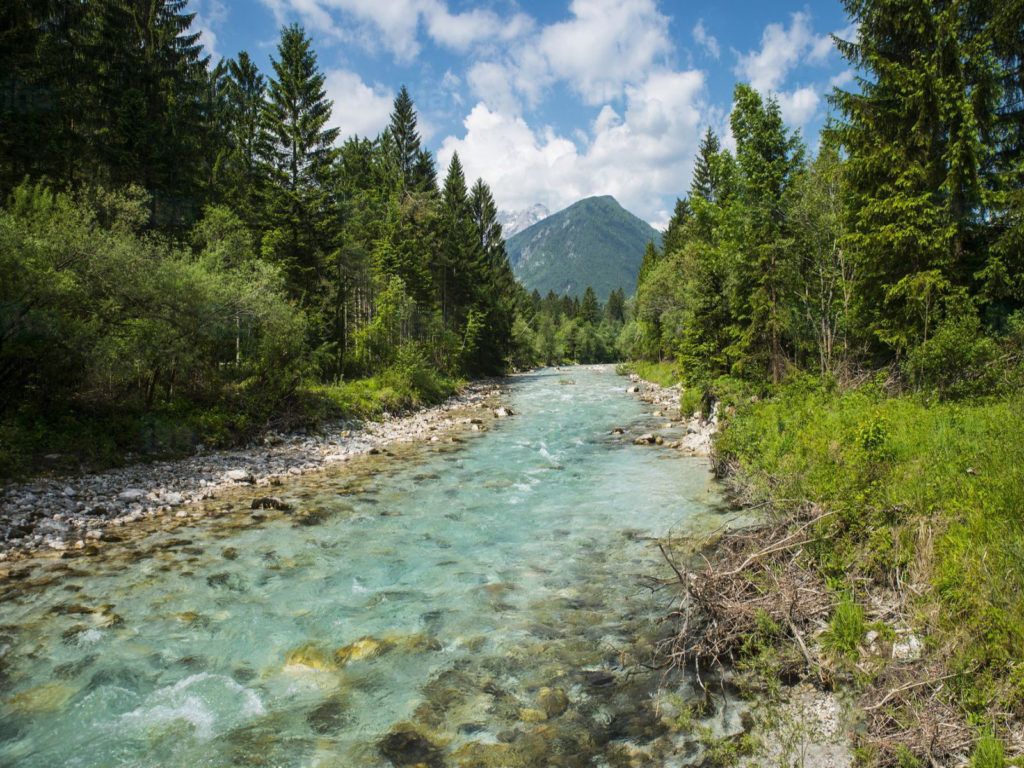 Natuur en landschap van Slovenië