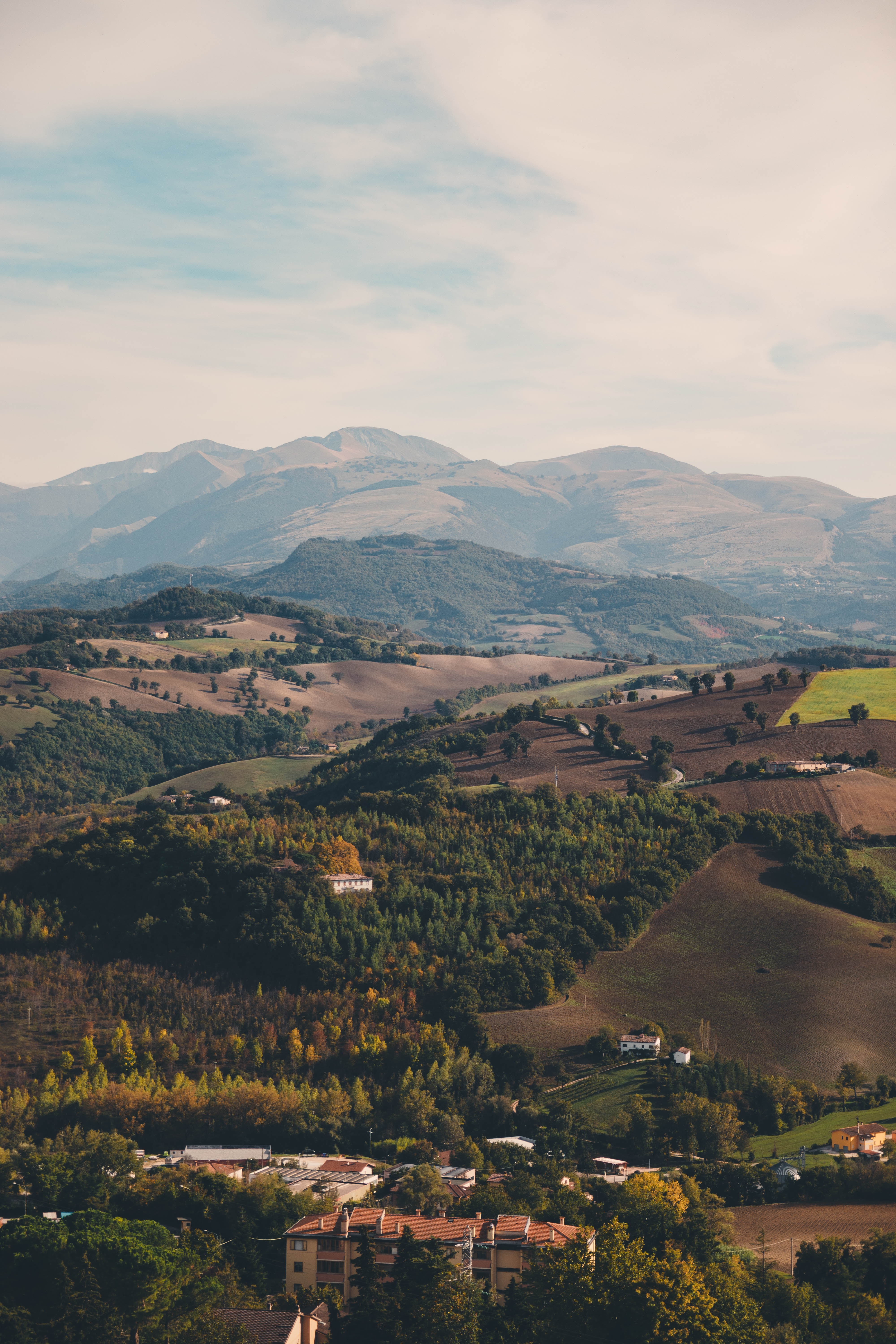 Italiaanse wijnen - Le Marche