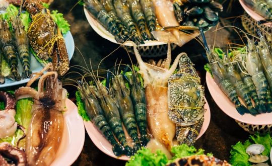 De leukste restaurantjes aan de Adriatische kust