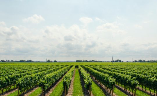 Waarom jij jouw volgende vakantie in een agriturismo moet besteden!